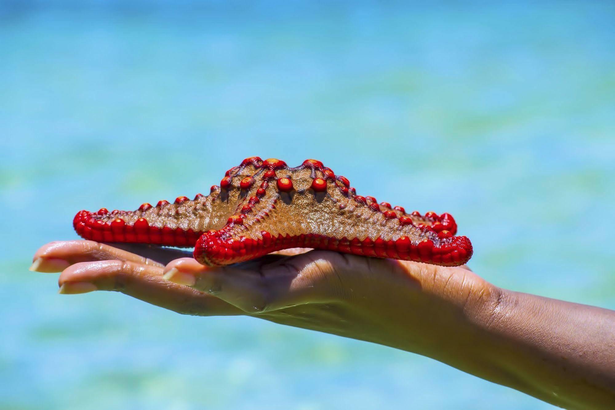 Mombasa Beach Hotel Ngoại thất bức ảnh